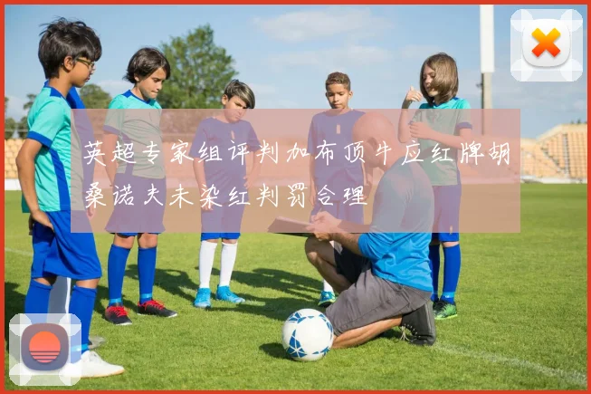 英超专家组评判加布顶牛应红牌胡桑诺夫未染红判罚合理